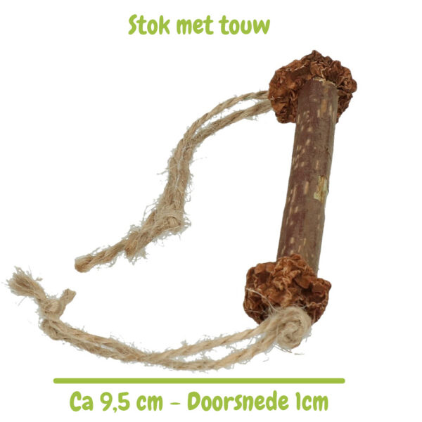 kattenspeeltje stok met touw