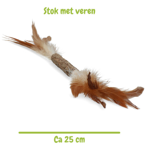 kattenspeeltje stok veren