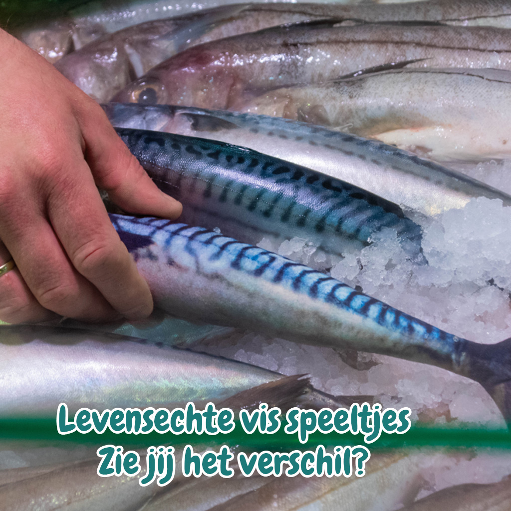 parallel rivier Floreren Kattenvis niet van echt te onderscheiden kattenspeeltjes in vis vorm
