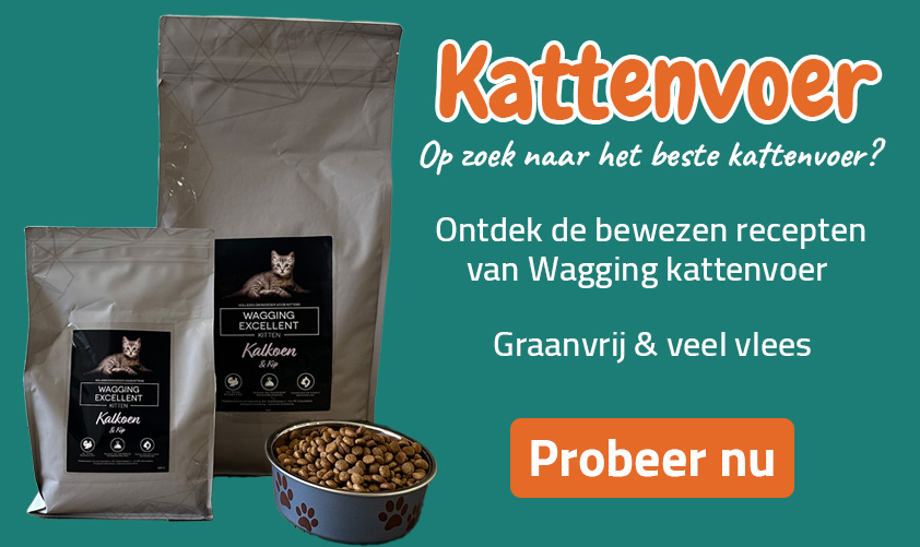 Kattenshop online