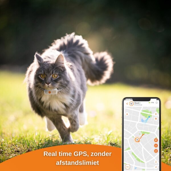 weenect GPS kat